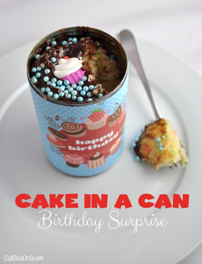 birthday cupcake in a can DIY
