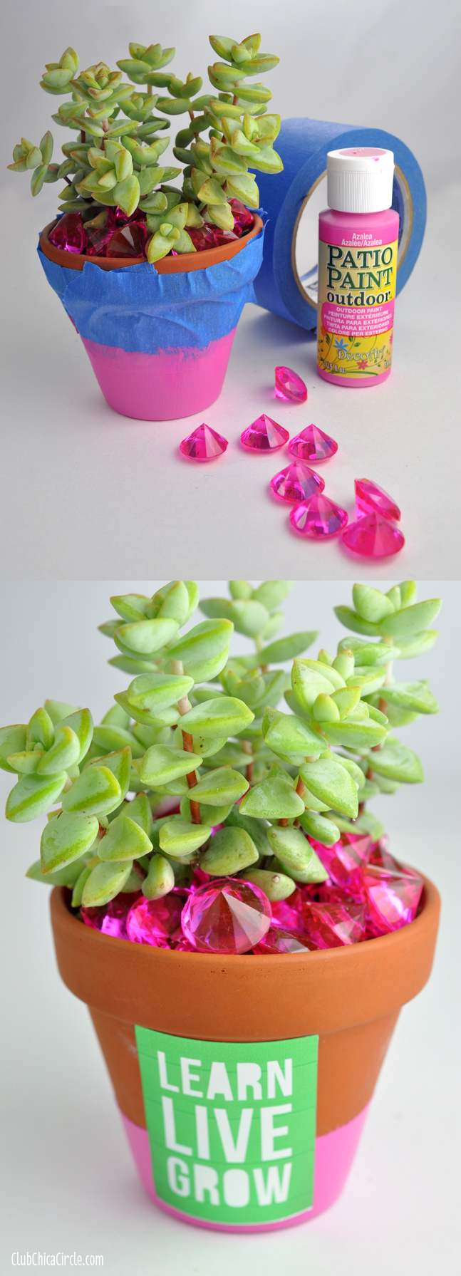 Succulent Plant Spring Gift Idea with Patio Paint, Gems and Silhouette metallic stickers