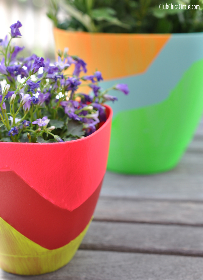 Cool Painted Spring Planters Craft idea