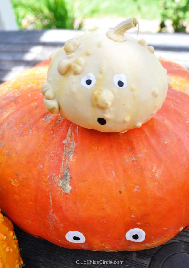 cute and funny painted pumpkins and gourds