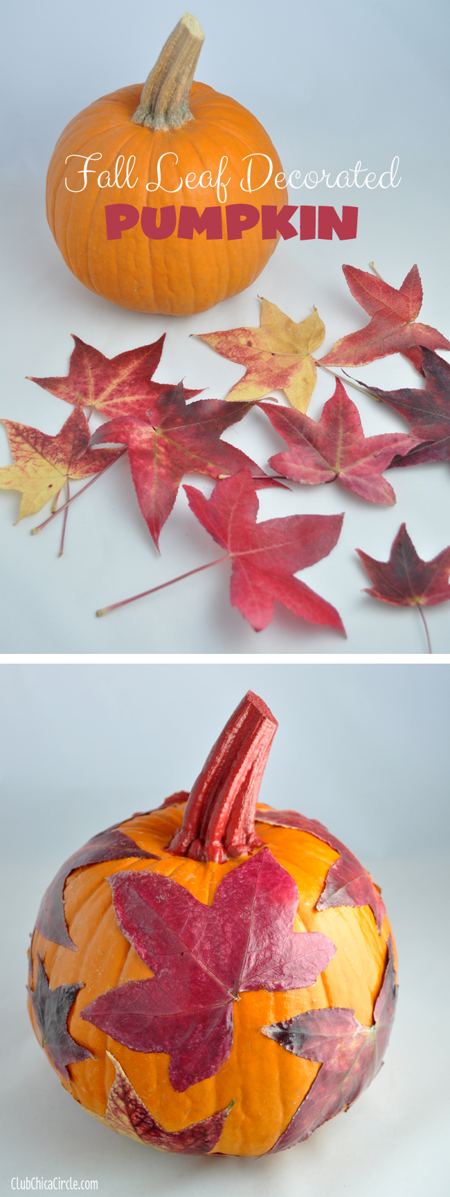 Fall-Leaf-Decorated-Pumpkin-craft-idea-with-decoupage-and-multi-surface-paint