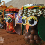 Owl candy jars side view