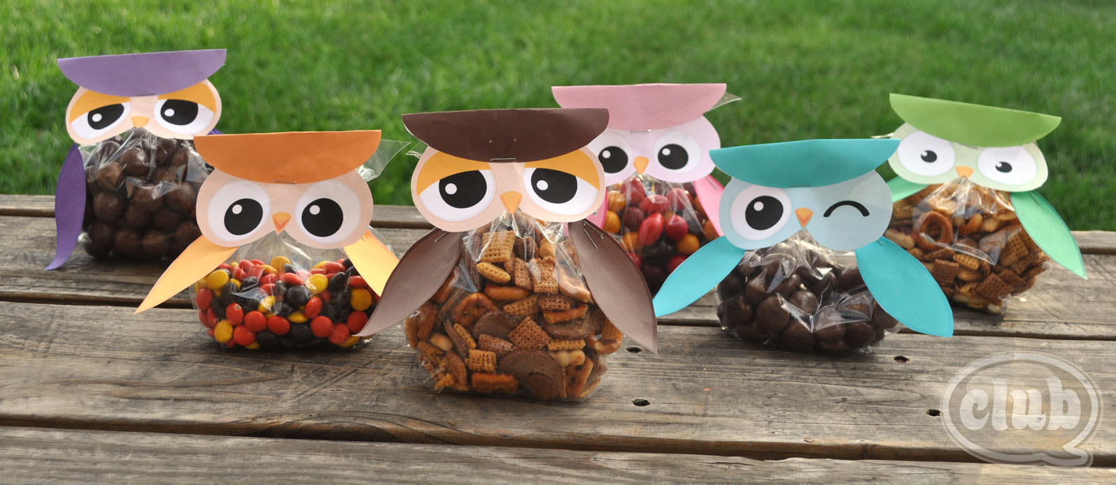 Can I Get a Hoot Hoot Owl Treat Bags FREE Printable Club Chica