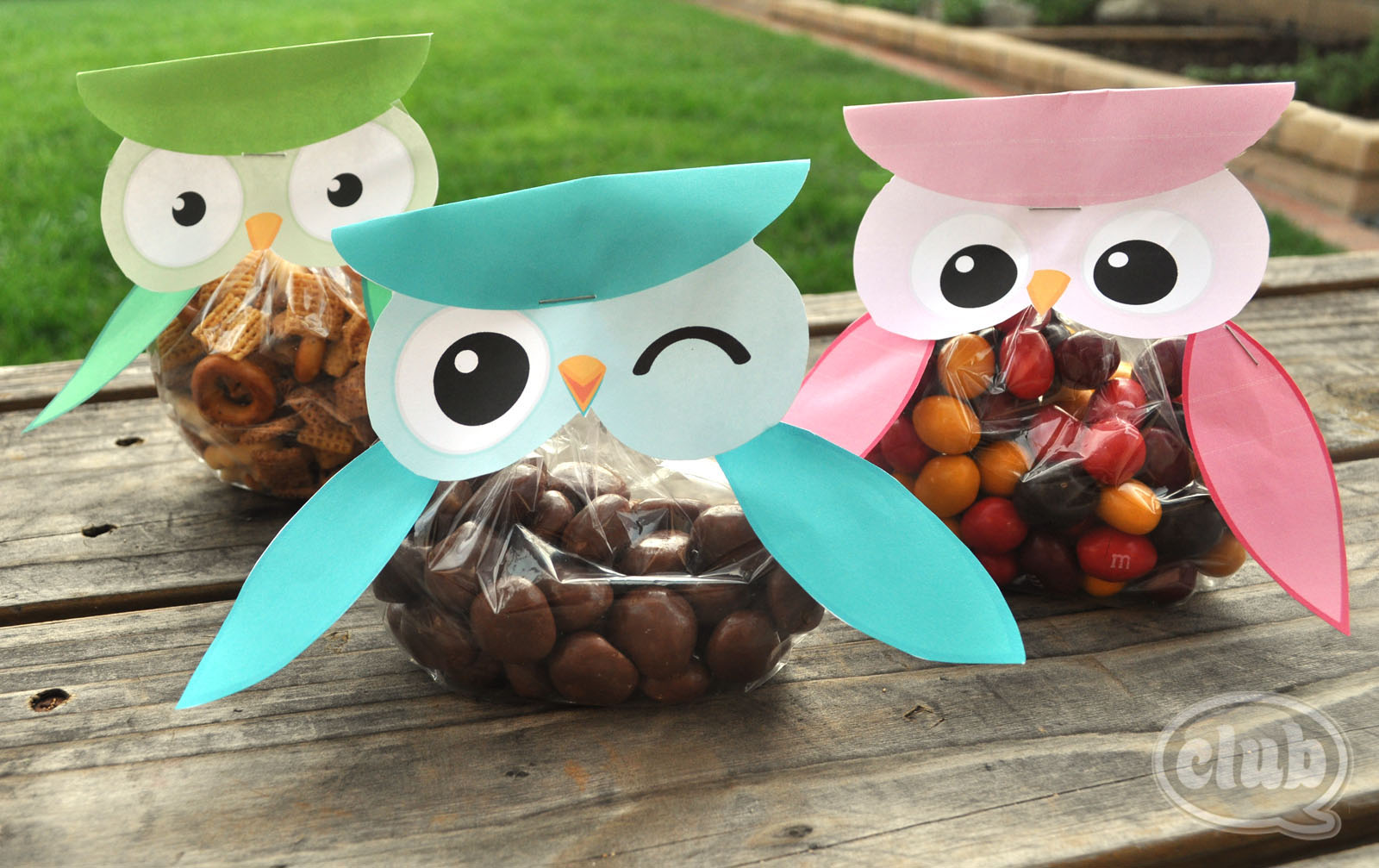 Can I Get a Hoot Hoot Owl Treat Bags FREE Printable Club Chica