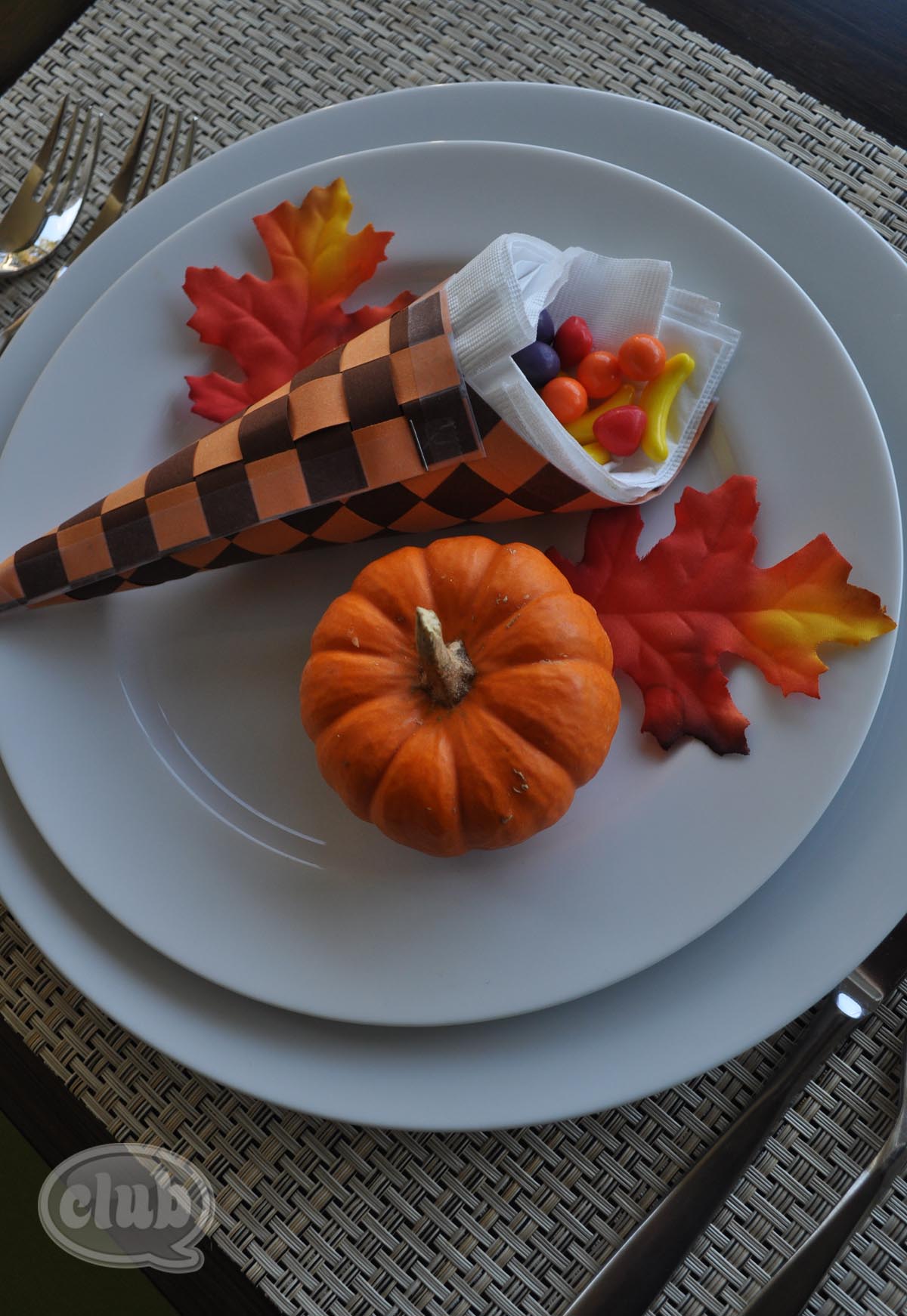 cornucopia  paper, plate, and plane