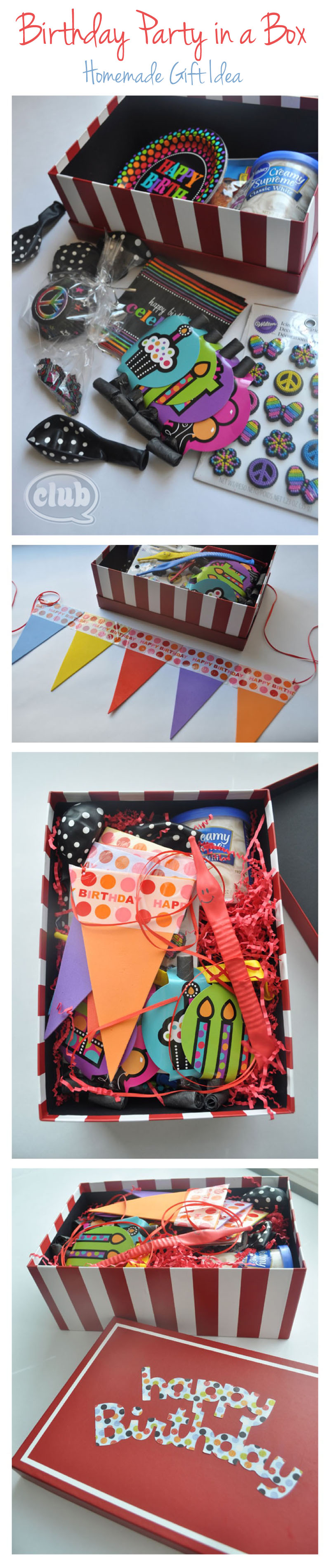 Birthday Party In A Box Homemade Gift Idea