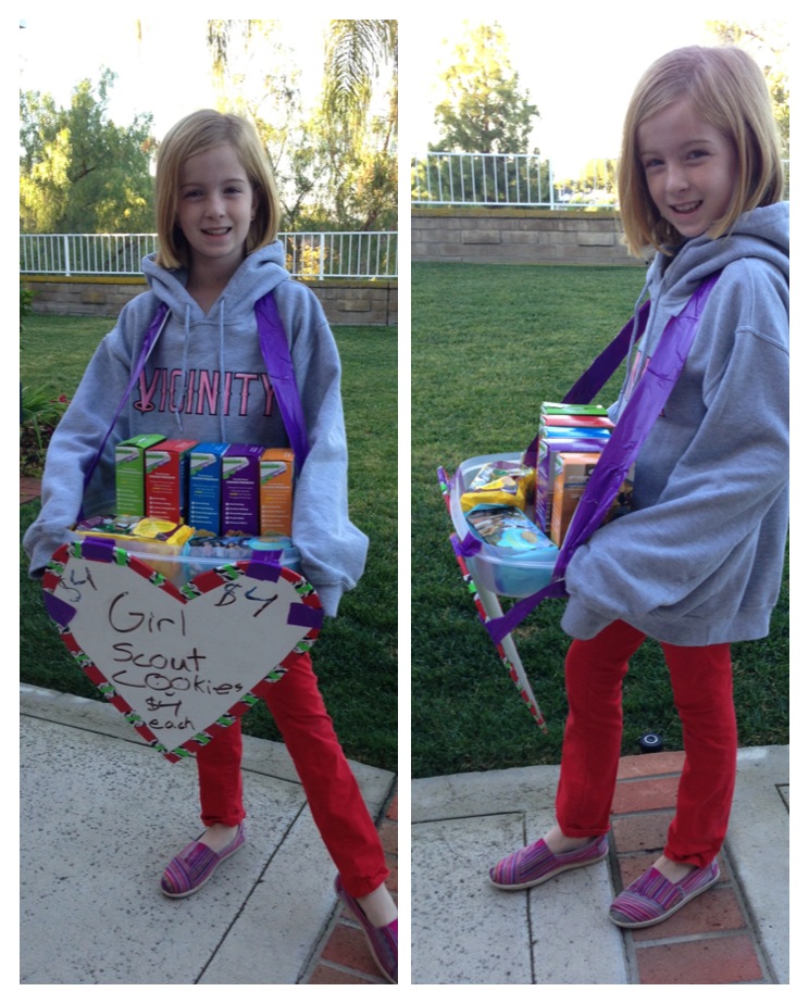 Girl Scout Carrier craft idea