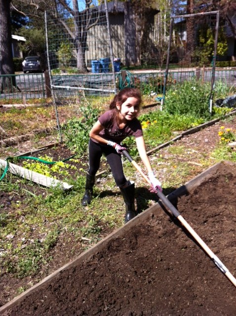 Family Garden Plot 2