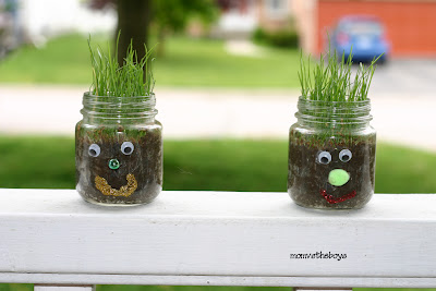 Mom vs the Boys Hairy Garden Jar