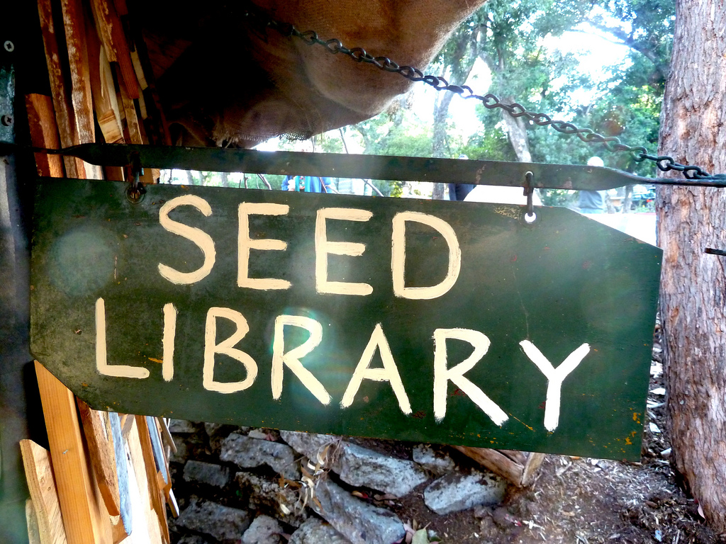 Seed Library