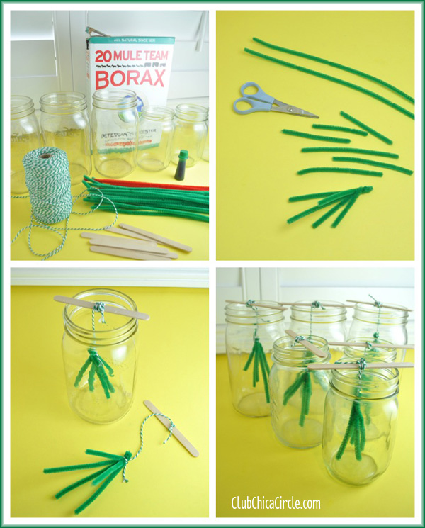 Making Borax Crystals - The Craft Train