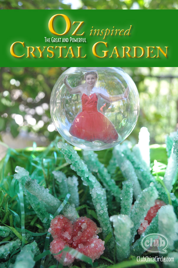 OZ crystal garden with bubble craft idea