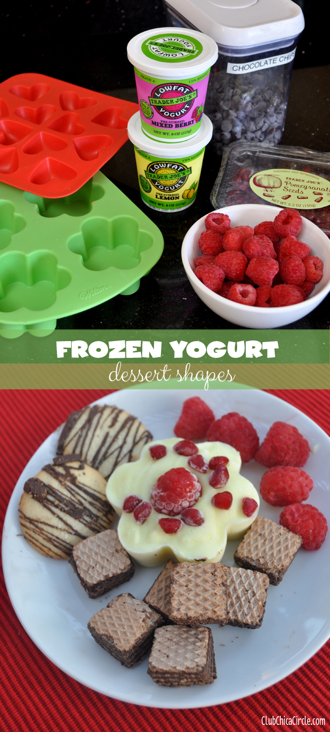 Frozen yogurt dessert shapes DIY