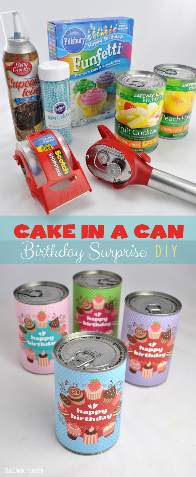 Cake in a Can Birthday Surprise DIY