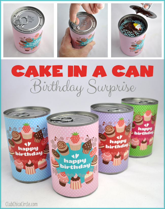 Cake in a Can Birthday Surprise