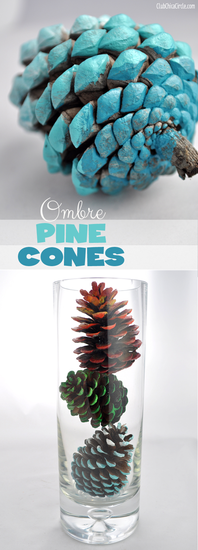 How to Paint Pine Cones for Crafts and Decorations