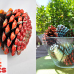 Ombre Painted Pine Cones Decoration
