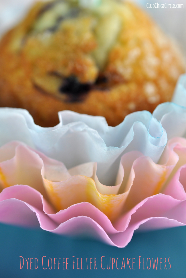 Rainbow Coffee Filter Dip Dyed Cupcake Decorations