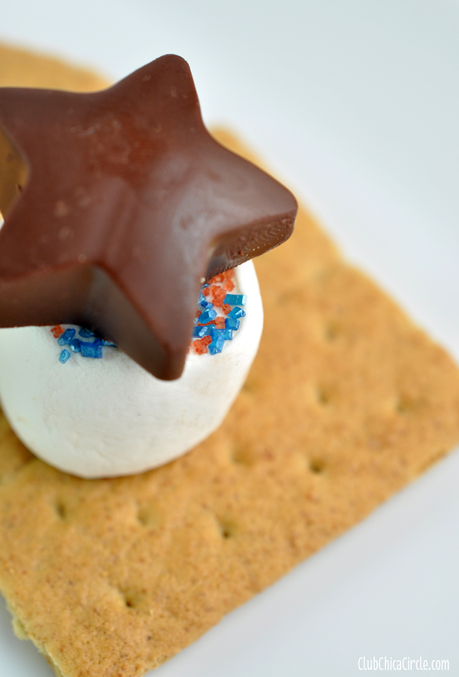 Patriotic Party Smores Tutorial