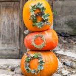 boo-spelled-in-succulents-on-pumpkins