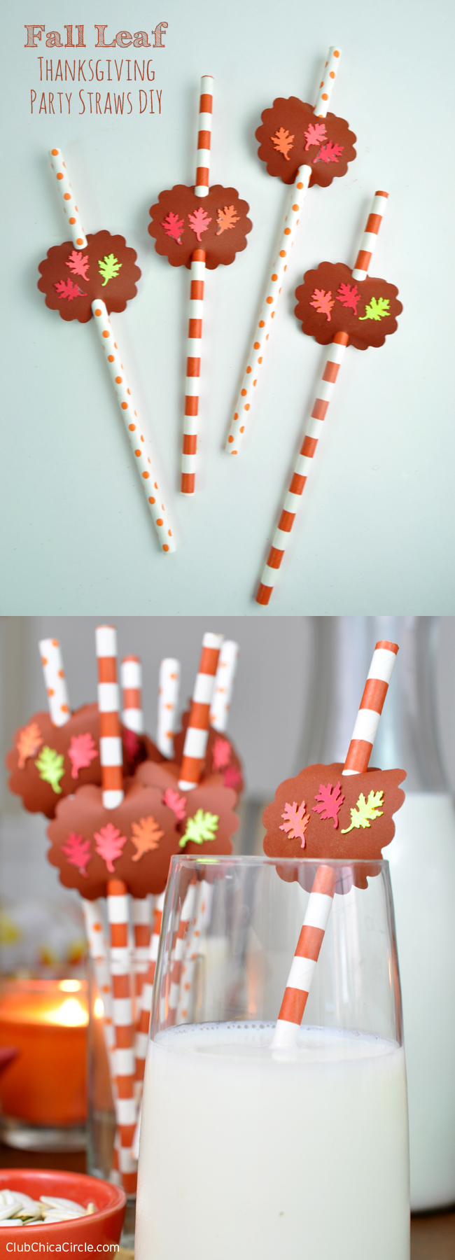 Thanksgiving Table Party Straws Tutorial