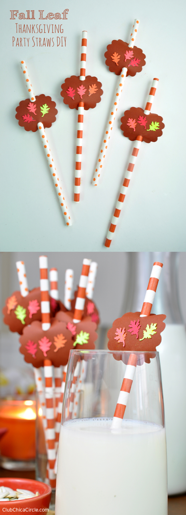 Fall Leaf Thanksgiving Party Straws DIY