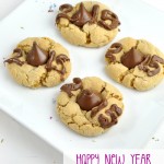 2015 Chocolate Peanut Blossom Cookies Recipe Idea