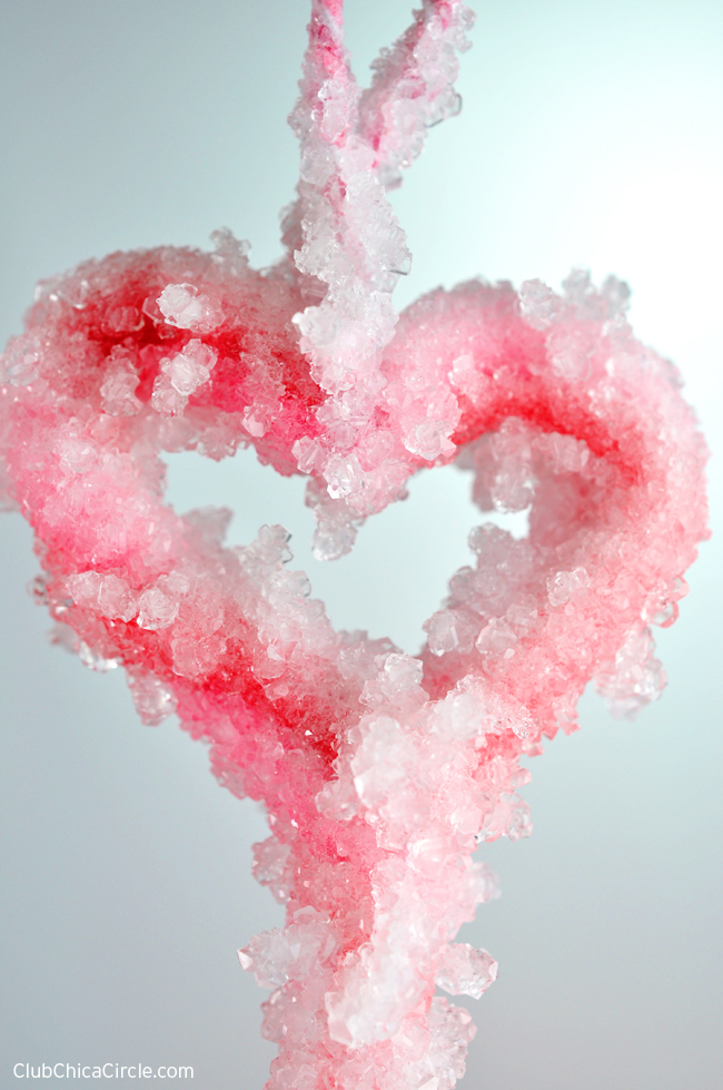 Heart Borax Crystal Ornament with Pipe Cleaners