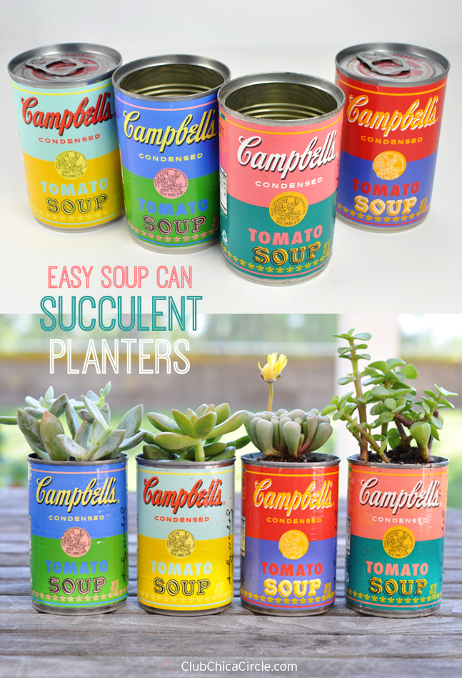 Easy Soup Can Succulent Planters