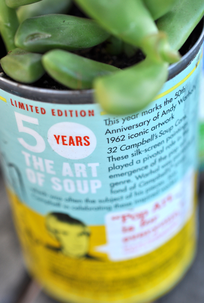 Modern art soup can succulent planter