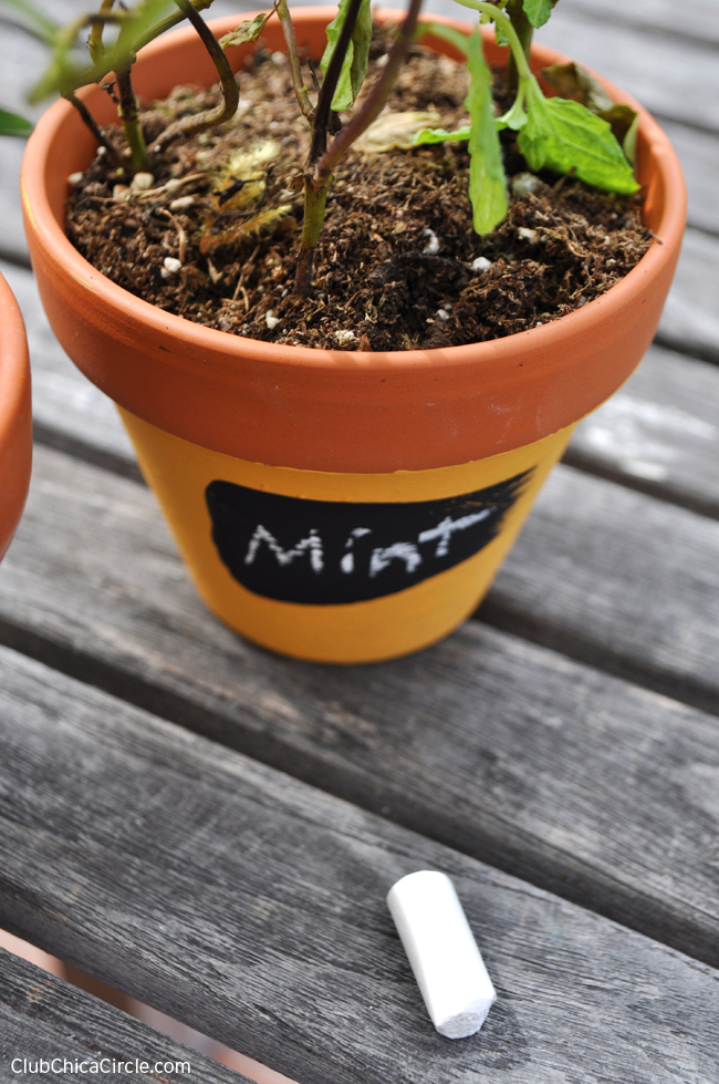 Mint herb garden pot craft idea