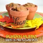 Thanksgiving pumpkin recipe and craft idea